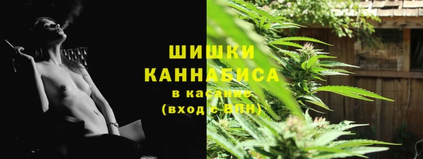 шишки Алексин
