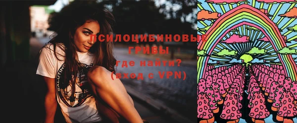 шишки Алексин