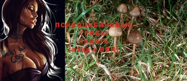 ГАЛЛЮЦИНОГЕННЫЕ ГРИБЫ Алексеевка