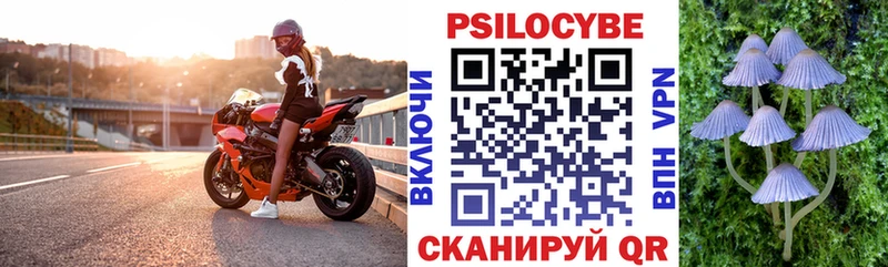 Галлюциногенные грибы Psilocybe мориарти какой сайт Учалы продажа наркотиков